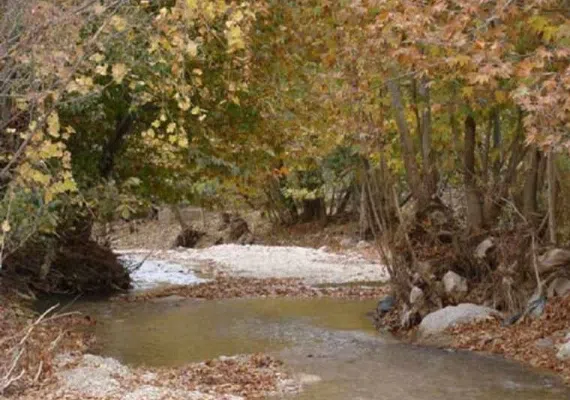 روستای خسرویه