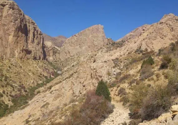 پارک ملی سالوک