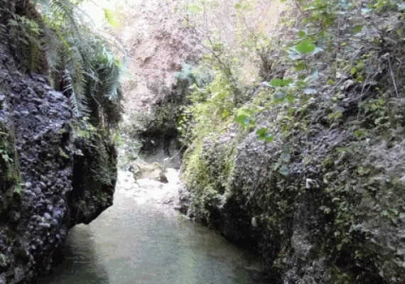 دره انار گتوند