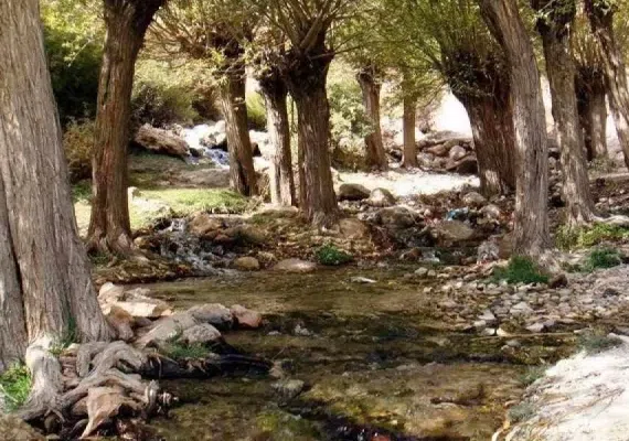 چشمه قلقل