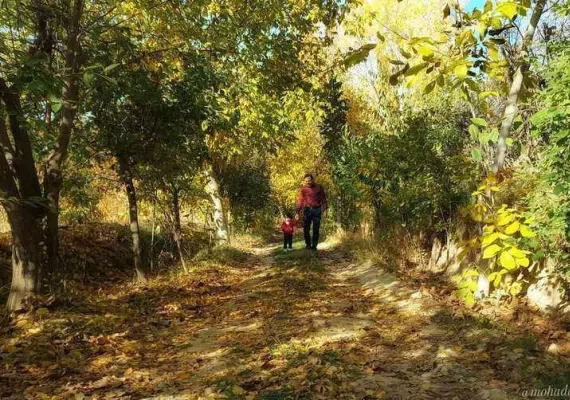 روستای رشوانلو