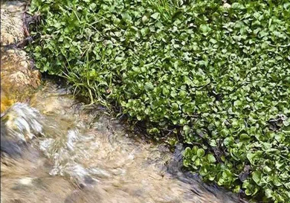 روستای درکش