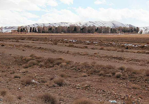 تیگران
