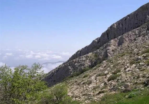 منطقه حفاظت&zwnj;شده قرخود