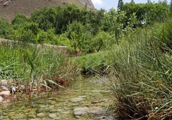 روستای استاد