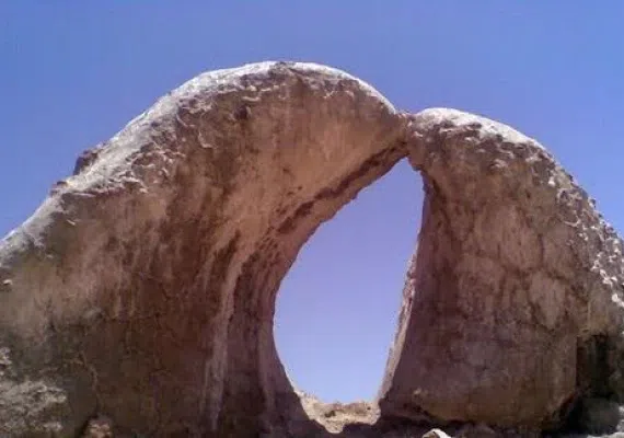 دلفینهای نمکی سمنان