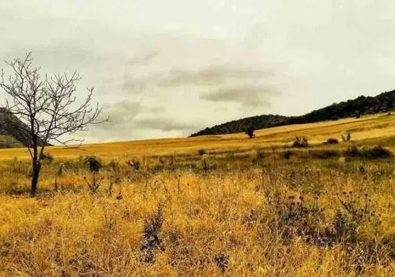 روستای درکش