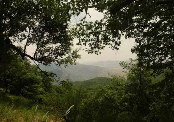 روستا دشت