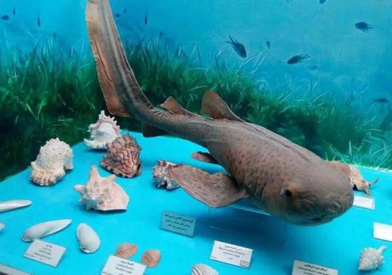 موزه آستان قدس رضوی