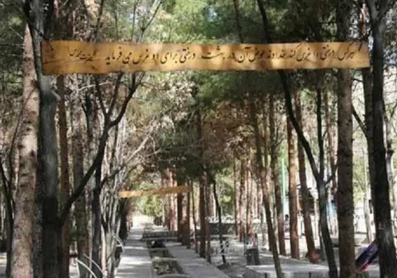 جنگل پردیسان قائم