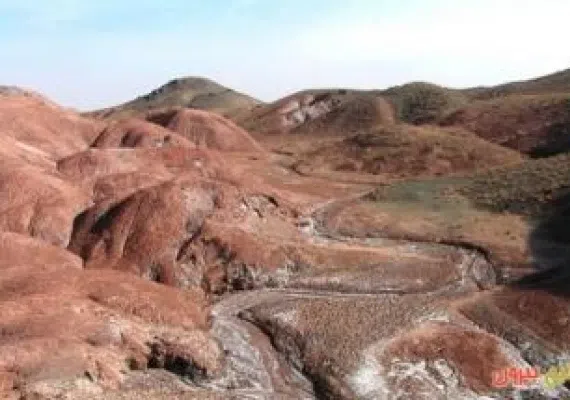 دلفینهای نمکی سمنان