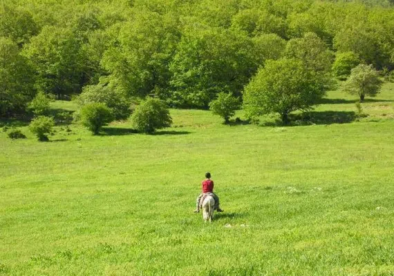 روستای درکش