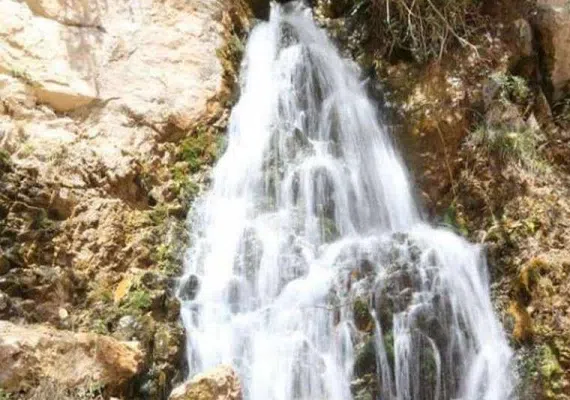 تیگران