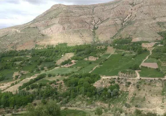 روستای رئین