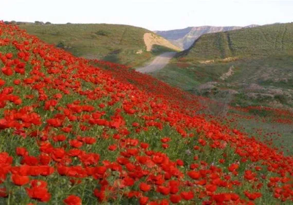 روستای چهچهه چناران مشهد