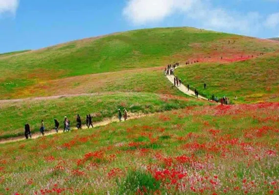 روستای چهچهه چناران مشهد