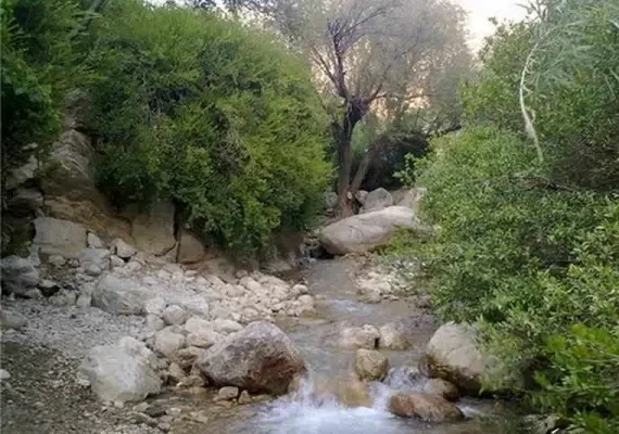 روستا کاستان