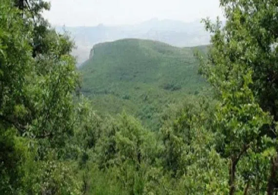 روستا دشت