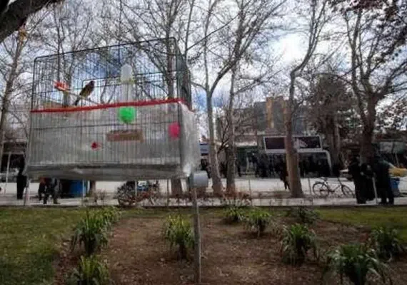 ﻣﺠﻤﻮﻋﮥ ﺳﺒﺰه ﻣﯿﺪان