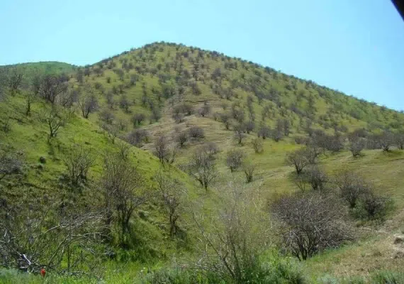 روستای چهچهه چناران مشهد