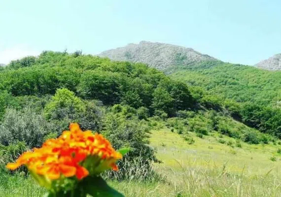 روستای درکش