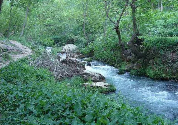 آبشار گیشیگان راین