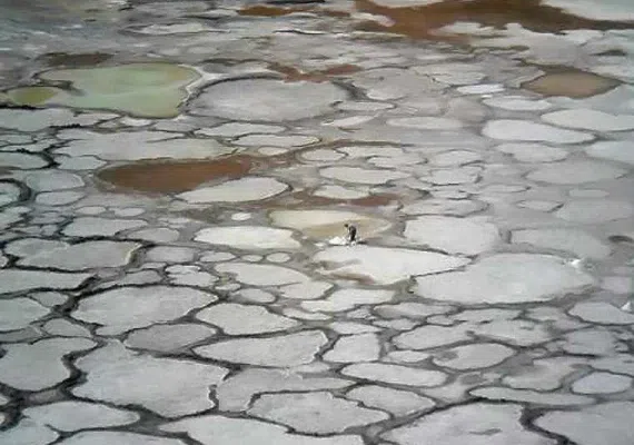 دهانه های آتشفشانی راین