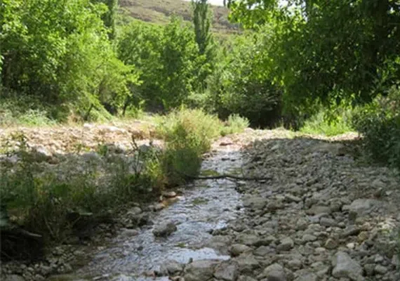 روستای در صوفیان