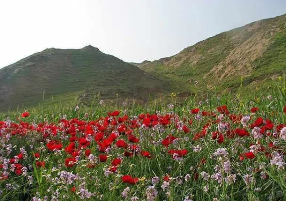 دشت چم آسیاب