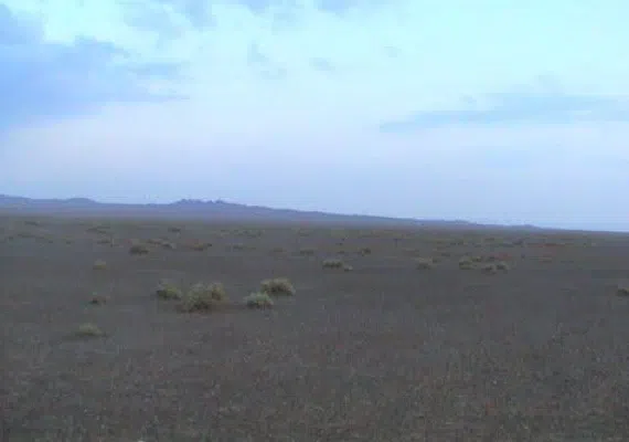 کوه های رملی