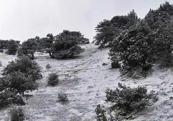 منطقه حفاظت&zwnj;شده قرخود