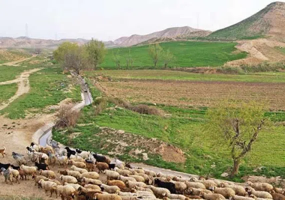 روستا کاستان