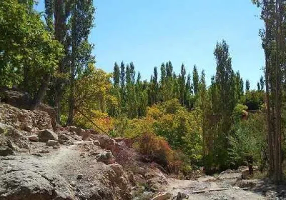 منطقه انگورستانی