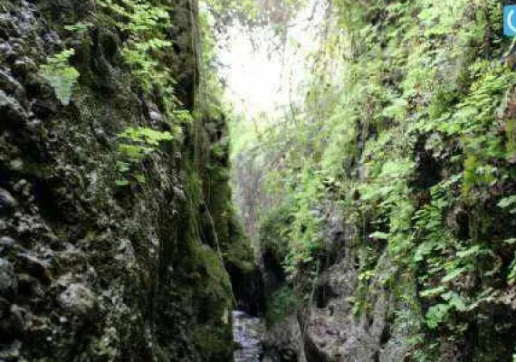 دره انار گتوند