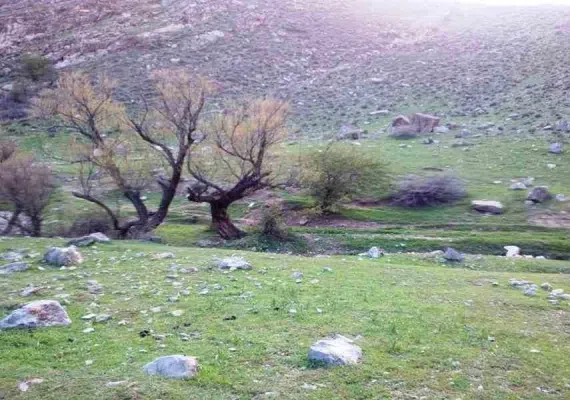 تفرجگاه امام قنبر