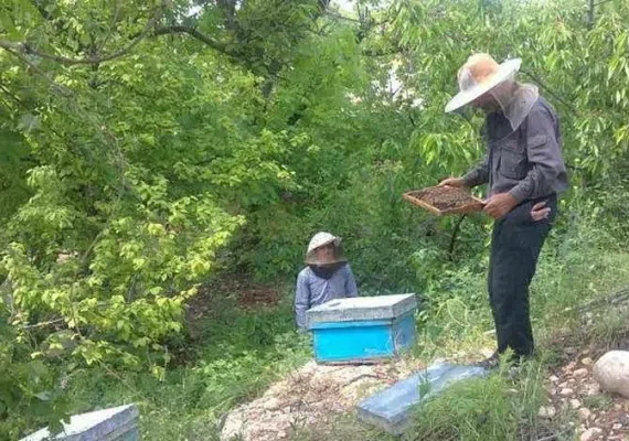 روستای رشوانلو