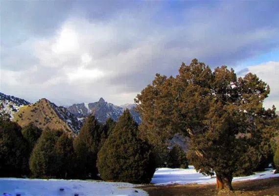 تفنگ دره کلات