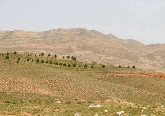 کوه بابا موسی