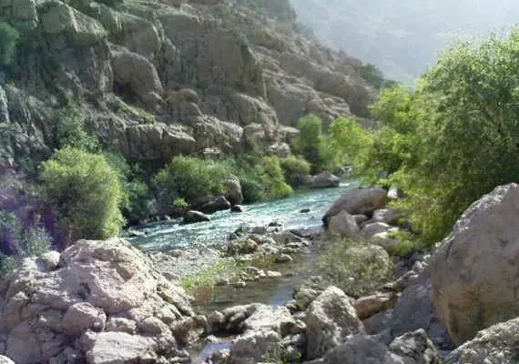 دشت شیمبار