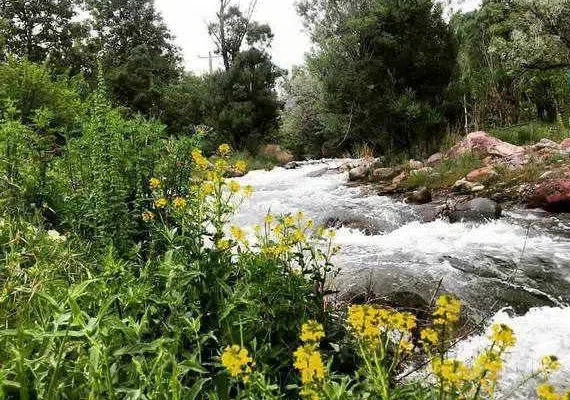 آبشار گیشیگان راین