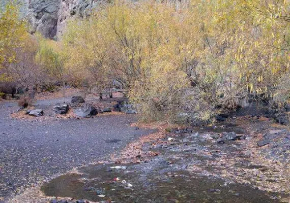 آبشار زر رود راین