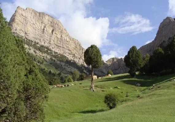 آبشار نورالی