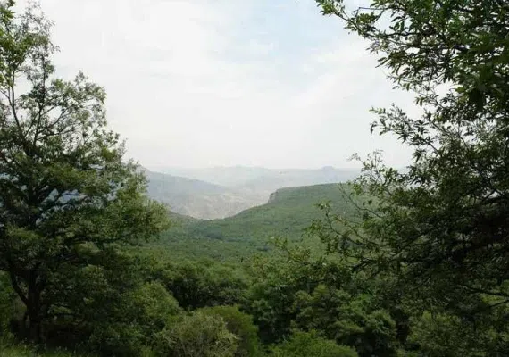 روستا دشت