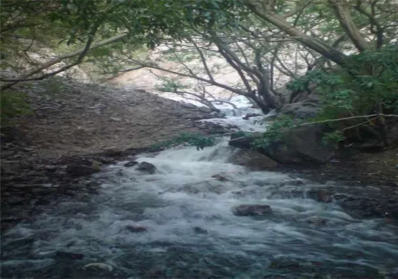 آبشار زر رود راین