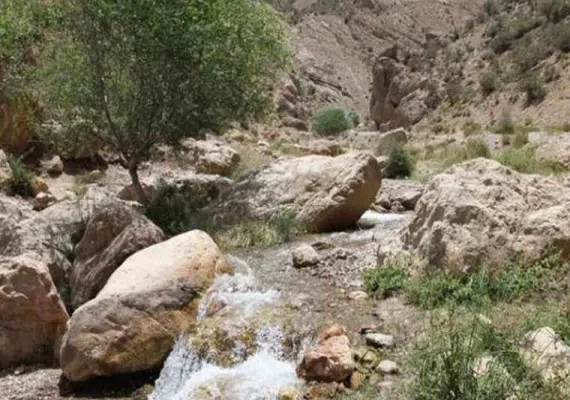 تیگران