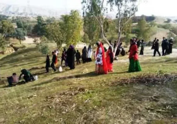 پارک جنگلی تمبی