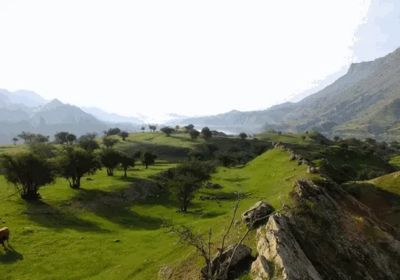 دشت سوسن ایذه