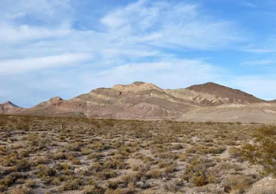 دلفینهای نمکی سمنان