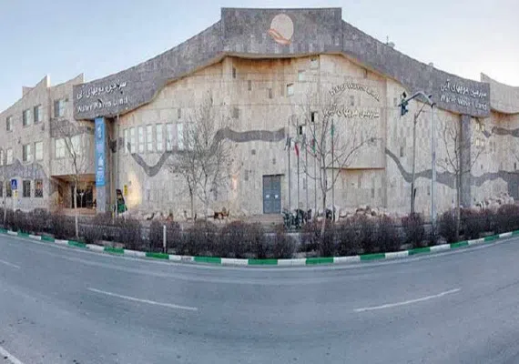 سرزمین موج های آبی