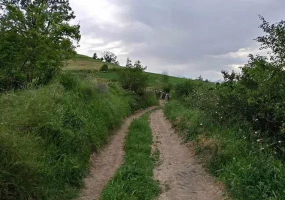 منطقه نمونه گردشگري کشانک